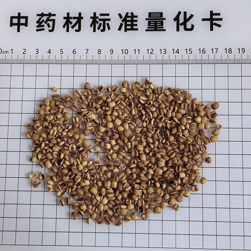 中药材/薏苡仁/薏米仁/贵州货/薏仁米中药材颗粒饱满批发