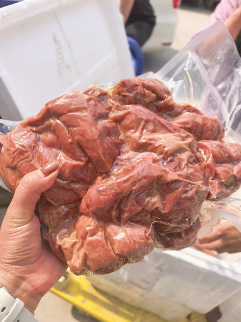 马排新货活马鲜宰可切块大小尺寸可定