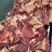 活马现宰腿肉肋条腱子独立包装使用方