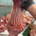 活马现宰腿肉肋条腱子独立包装使用方