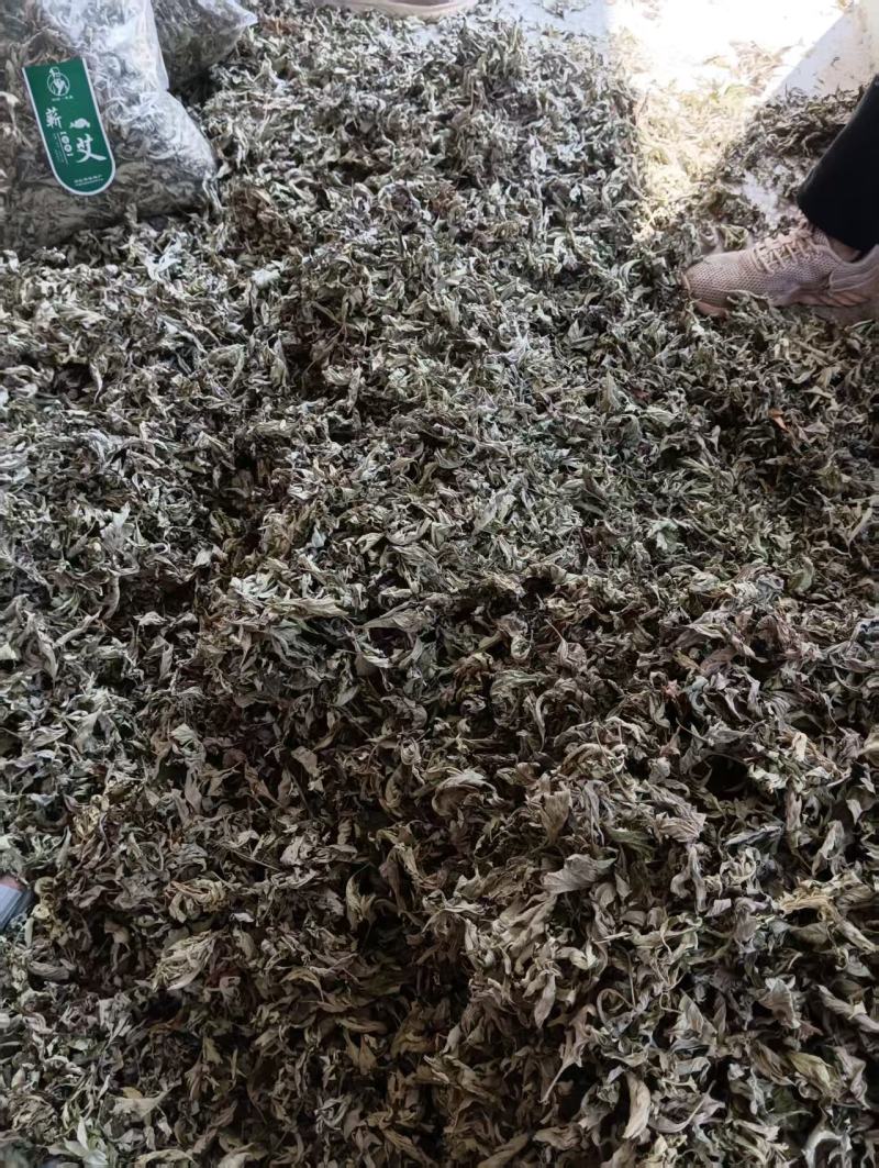 干蕲艾叶干艾叶