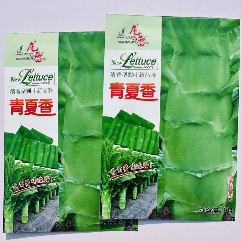 龙盛三青莴笋种子薄皮绿肉大棒高产春秋播种莴笋种子基地专用