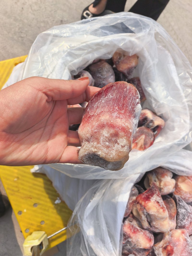 马短蹄短蹄子，元宝蹄去壳颜色好吨起价位可谈