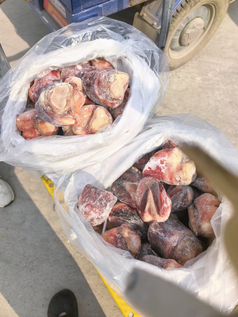 马短蹄短蹄子，元宝蹄去壳颜色好吨起价位可谈