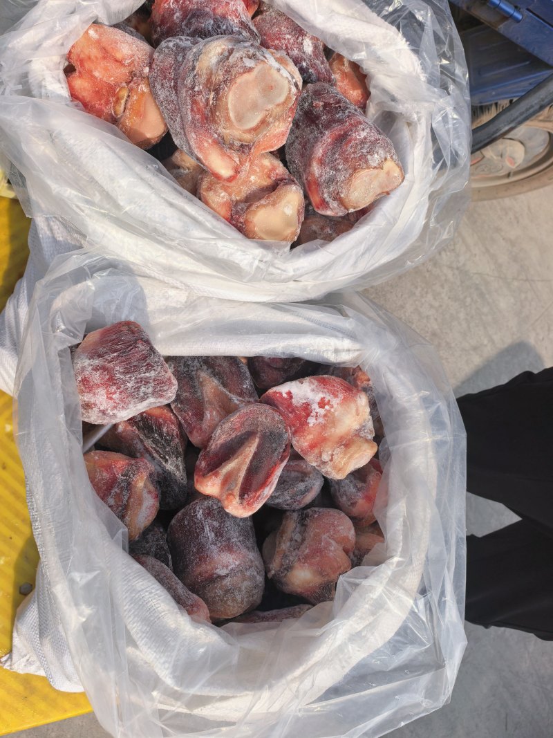 马短蹄短蹄子，元宝蹄去壳颜色好吨起价位可谈