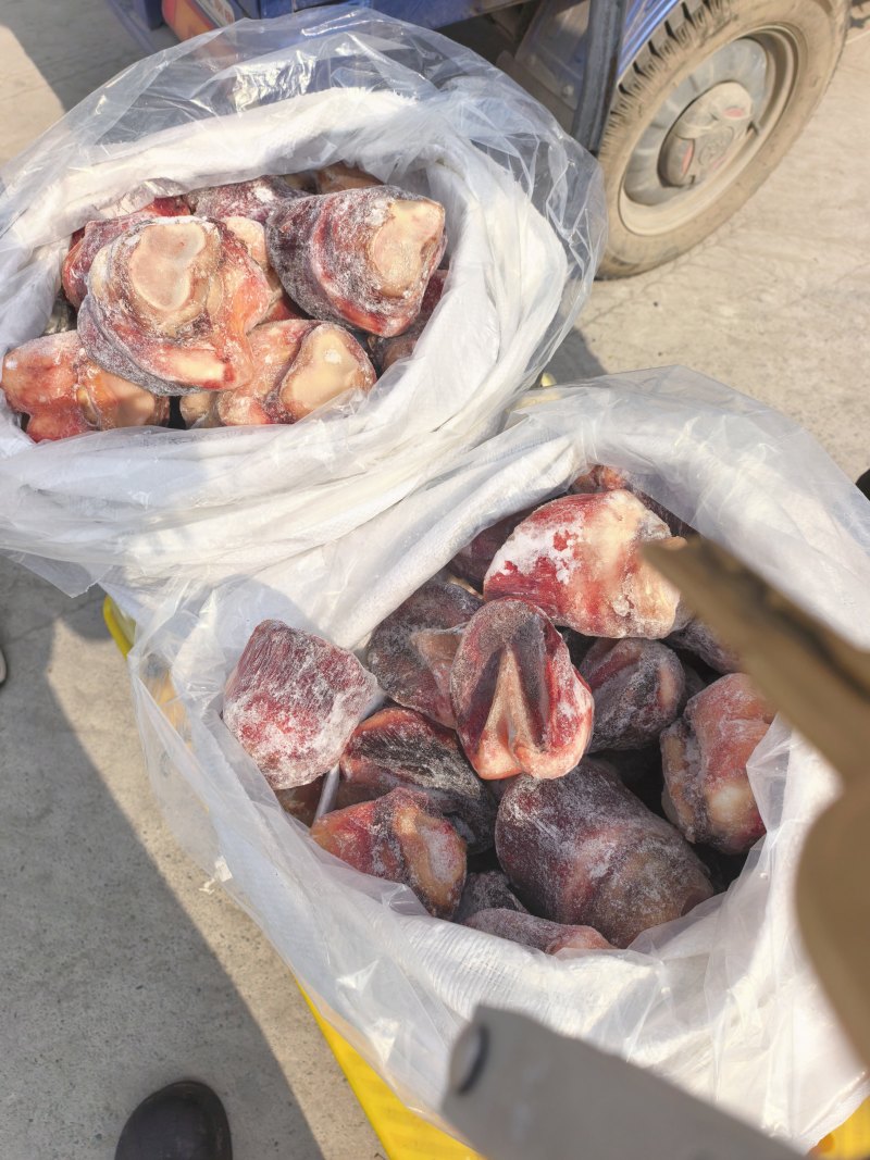 马短蹄短蹄子，元宝蹄去壳颜色好吨起价位可谈