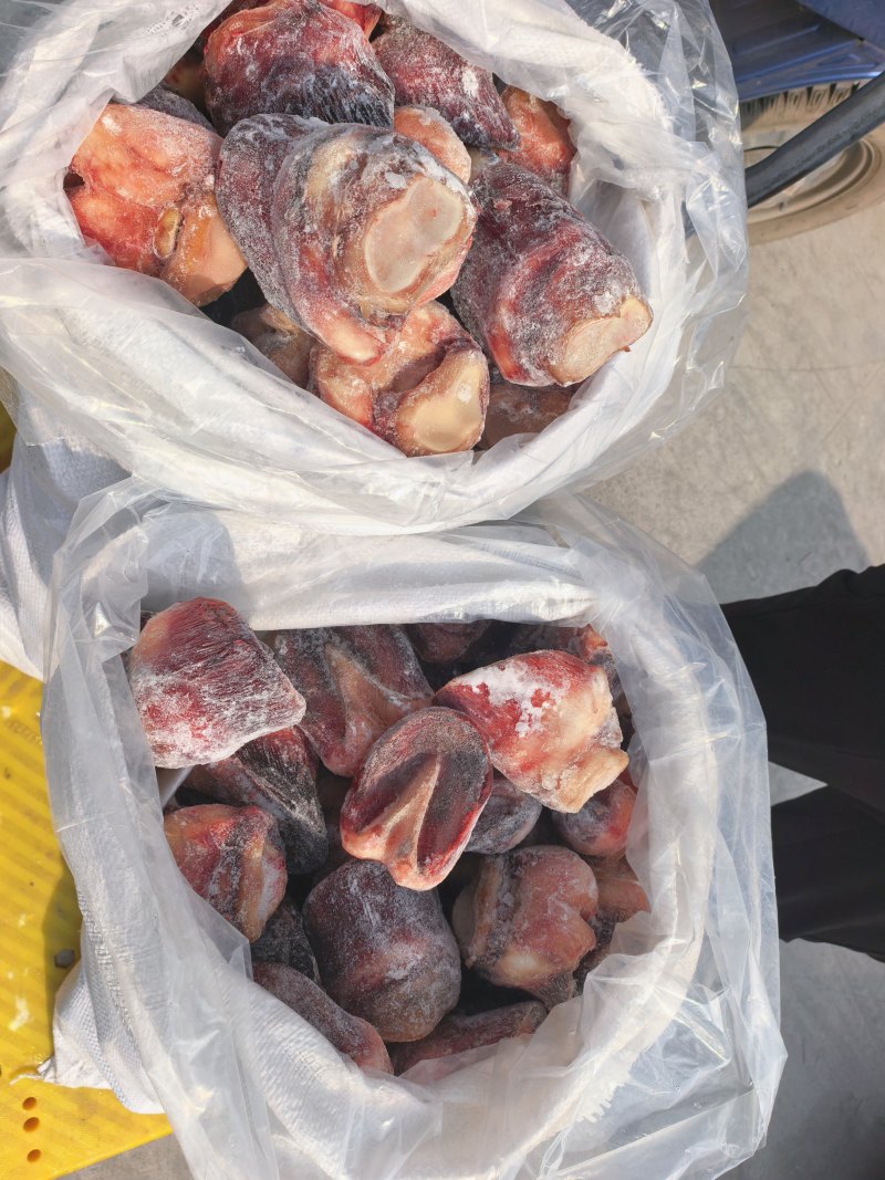 马短蹄短蹄子，元宝蹄去壳颜色好吨起价位可谈