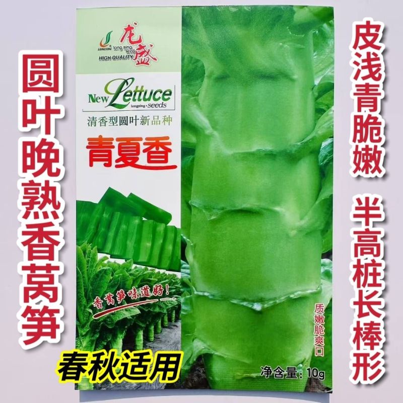 龙盛三青莴笋种子薄皮绿肉大棒高产春秋播种莴笋种子基地专用