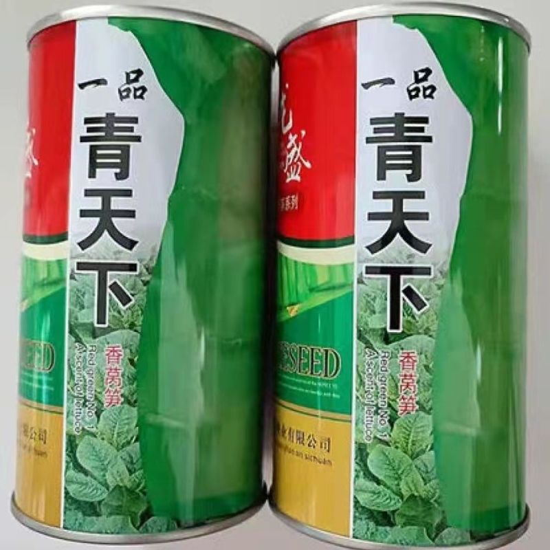龙盛三青莴笋种子薄皮绿肉大棒高产春秋播种莴笋种子基地专用
