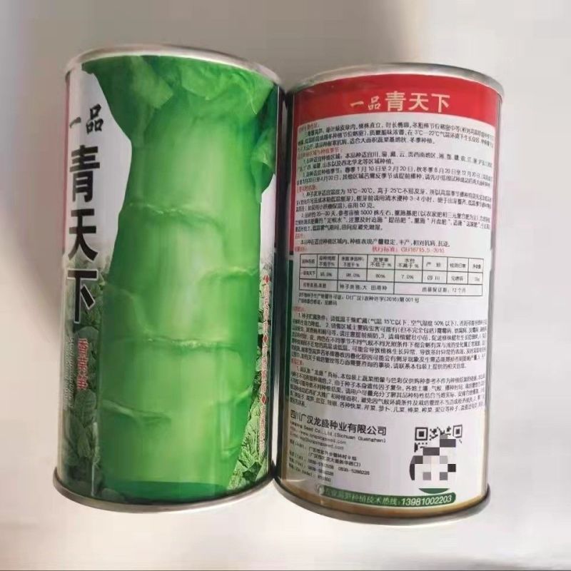 龙盛三青莴笋种子薄皮绿肉大棒高产春秋播种莴笋种子基地专用