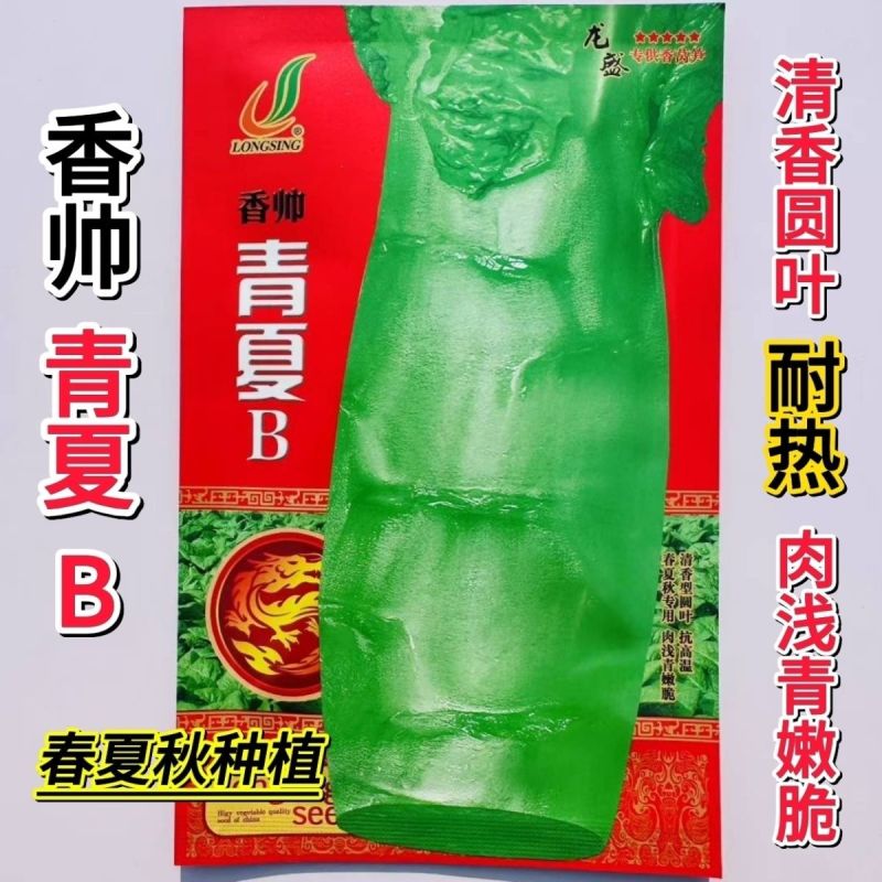 龙盛三青莴笋种子薄皮绿肉大棒高产春秋播种莴笋种子基地专用