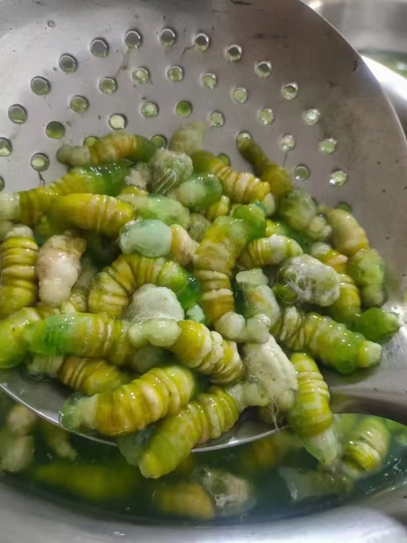 豆丹肉豆虫肉冷冻豆丹肉餐饮特色地方菜高端食材