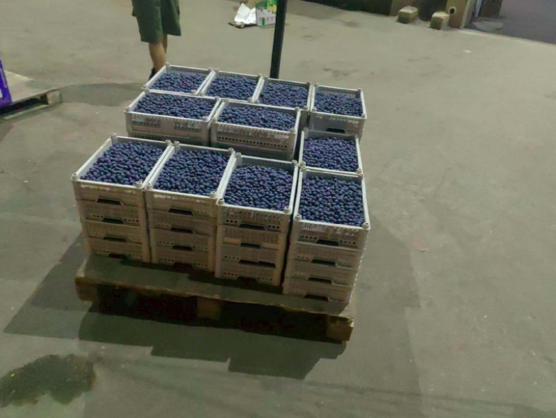 蓝莓冻果