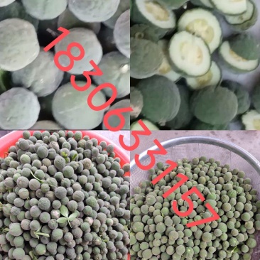 枳实干货