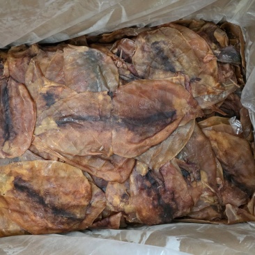 鱿鱼片真鱿片淡干水发用品质好价格优欢迎选购