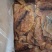鱿鱼片真鱿片淡干水发用品质好价格优欢迎选购
