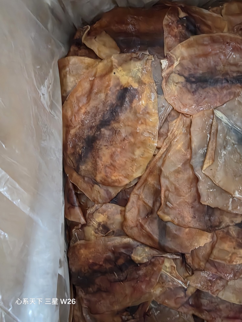 鱿鱼片真鱿片淡干水发用品质好价格优欢迎选购