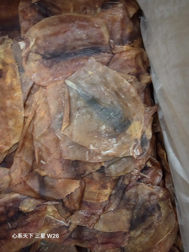 鱿鱼片真鱿片淡干水发用品质好价格优欢迎选购
