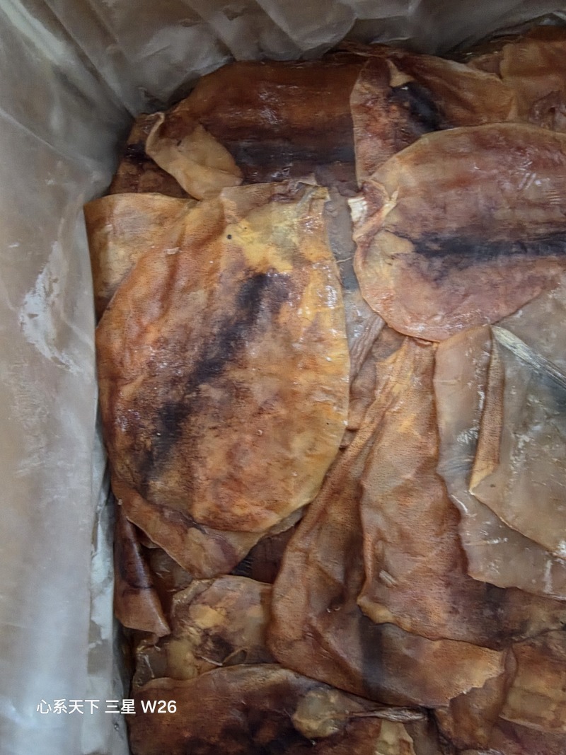 鱿鱼片真鱿片淡干水发用品质好价格优欢迎选购