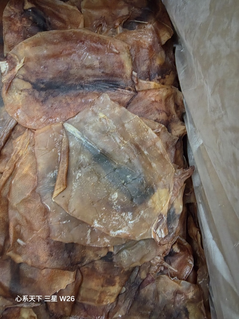 鱿鱼片真鱿片淡干水发用品质好价格优欢迎选购