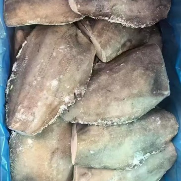 蝶鱼身