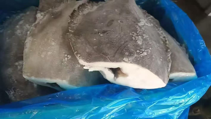 蝶鱼身