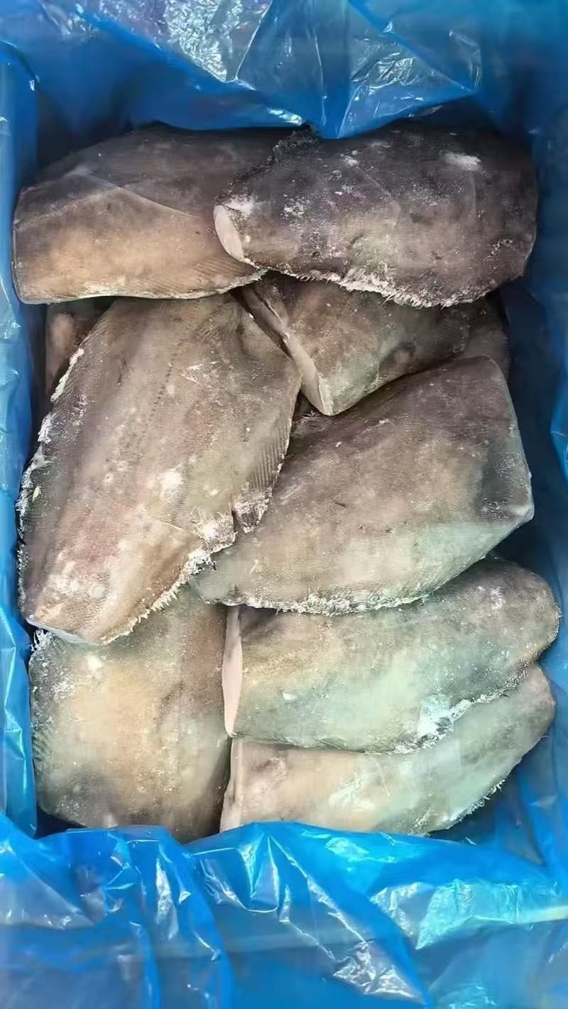 蝶鱼身