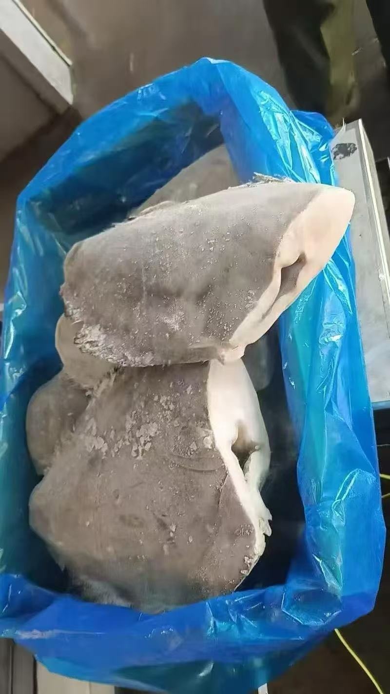 蝶鱼身