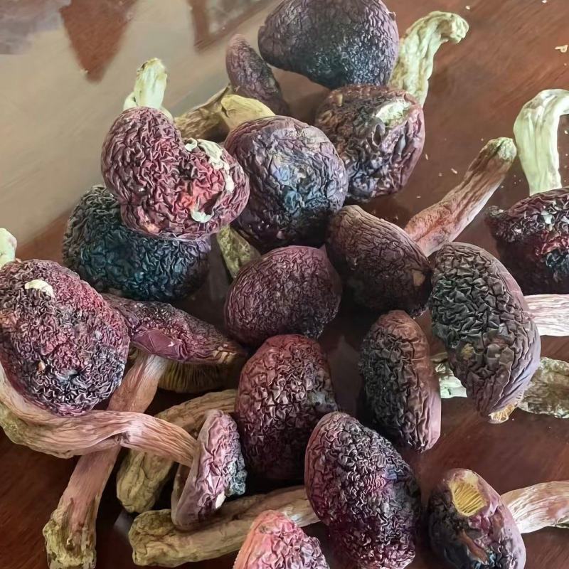 缅甸红菇，红菌子大量上市