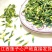 莲子心新货莲子芯干货连子心茶手工莲心茶中药材批发零售