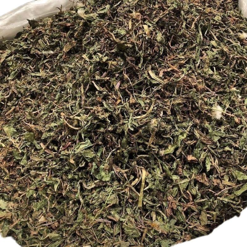 蒲公英中药材野生无硫新货整株切片新鲜草药批发零售