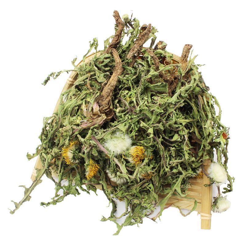 蒲公英中药材野生无硫新货整株切片新鲜草药批发零售