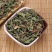 蒲公英中药材野生无硫新货整株切片新鲜草药批发零售