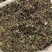 蒲公英中药材野生无硫新货整株切片新鲜草药批发零售