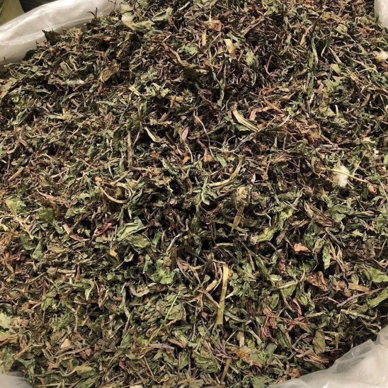 蒲公英中药材野生无硫新货整株切片新鲜草药批发零售