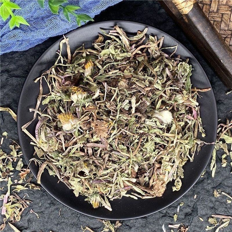 蒲公英中药材野生无硫新货整株切片新鲜草药批发零售