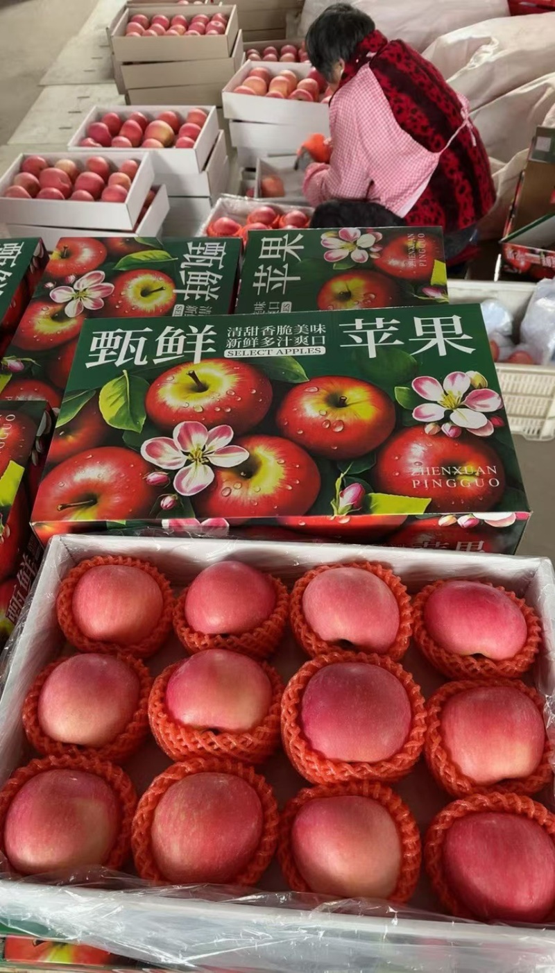 烟台红富士苹果