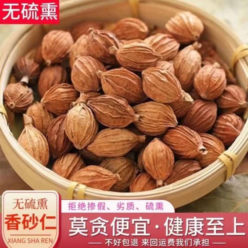 正品四川香砂仁香砂优质川砂新货香砂砂仁卤肉卤菜批发零售