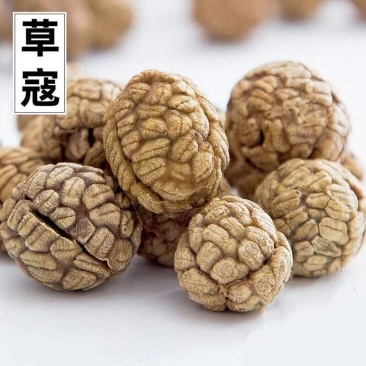 草蔻草寇豆蔻肉蔻小草扣老蔻卤料炖肉火锅调料草果批发零售