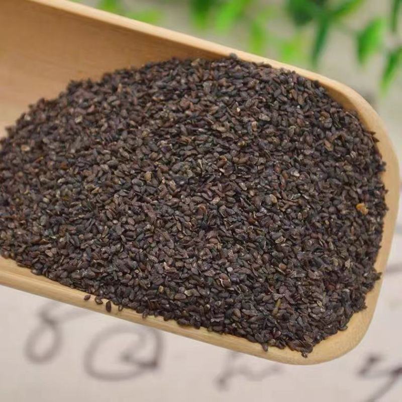 车前子车前籽车前草子车前子茶果实籽仁类中药材籽药批发零售