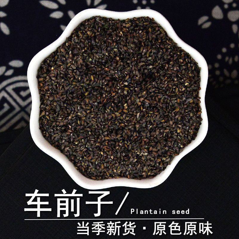 车前子车前籽车前草子车前子茶果实籽仁类中药材籽药批发零售
