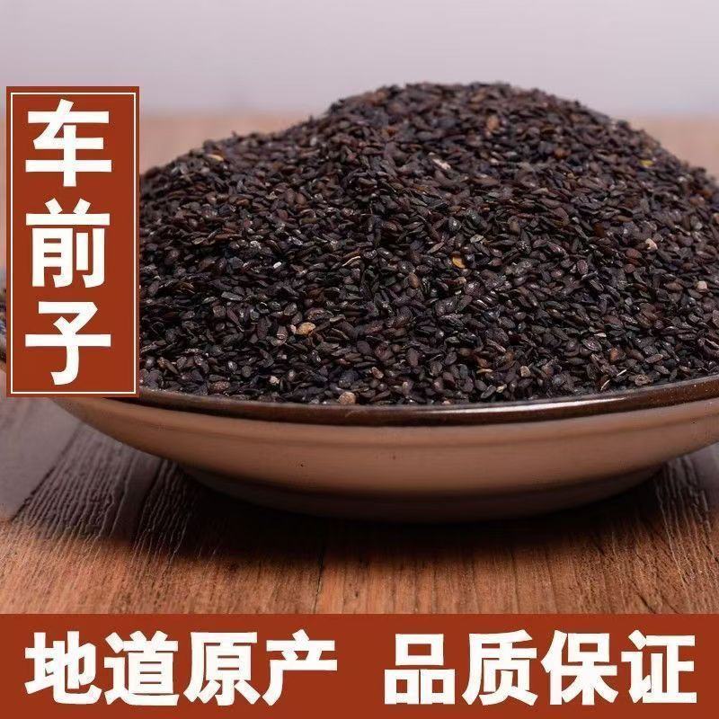 车前子车前籽车前草子车前子茶果实籽仁类中药材籽药批发零售