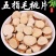 正品五指毛桃无硫新鲜野生土茯苓中药材泡茶五指毛桃批发零售
