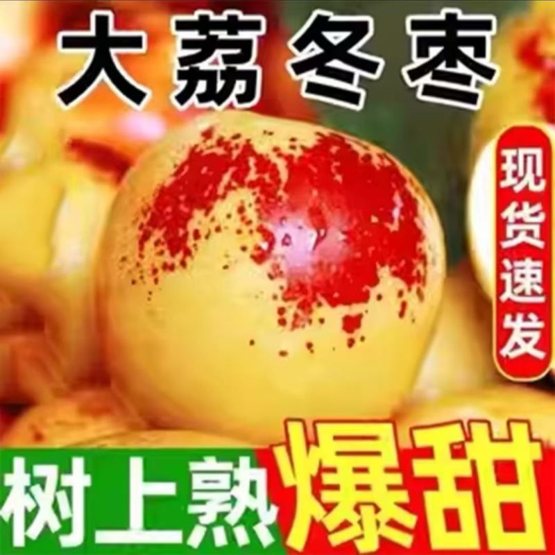 一件代发大荔冬枣鲜枣对接各大电商平台日发万单中介对接搞起