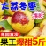 一件代发大荔冬枣鲜枣对接各大电商平台日发万单中介对接搞起