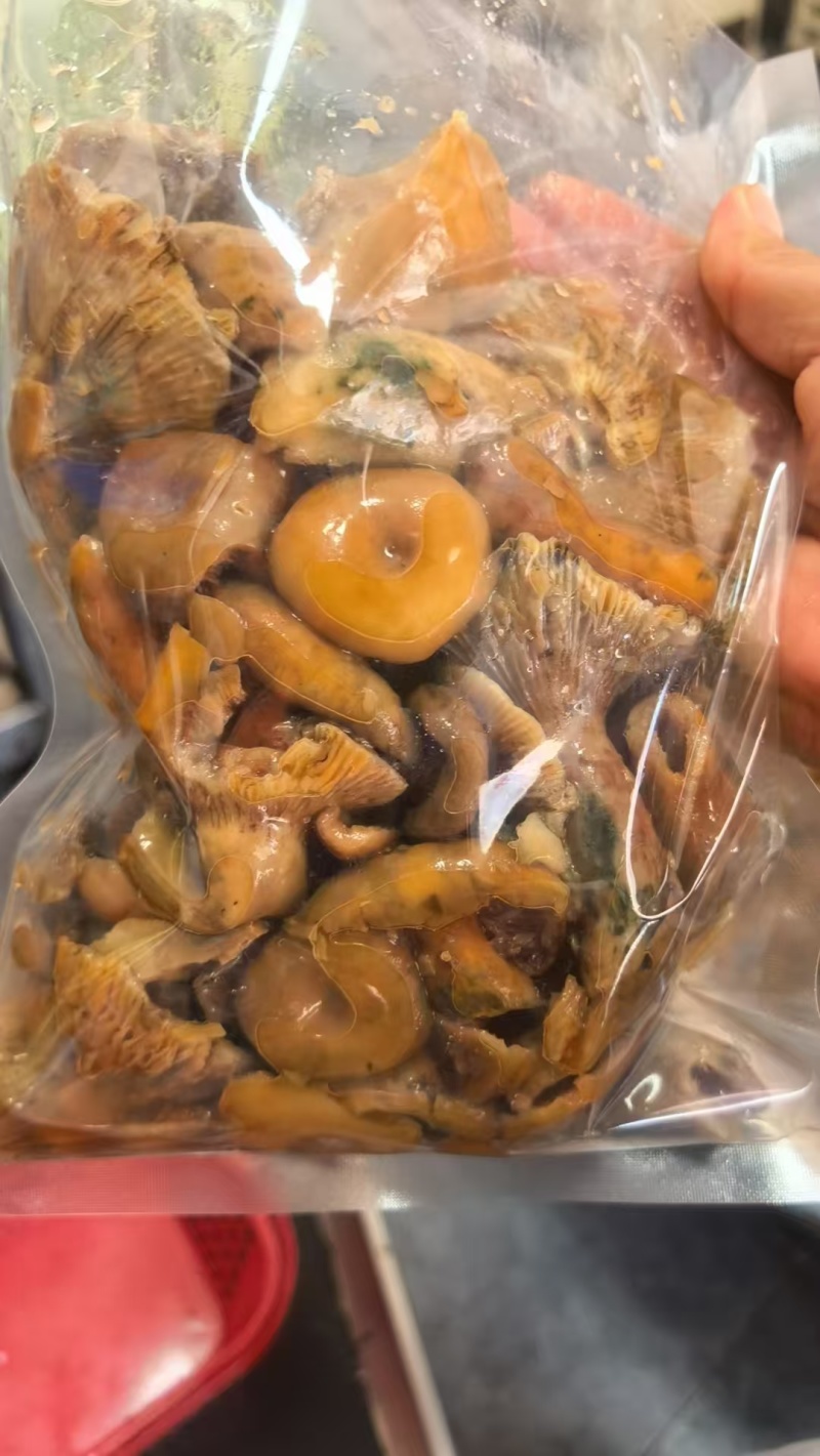 野生枞树菌