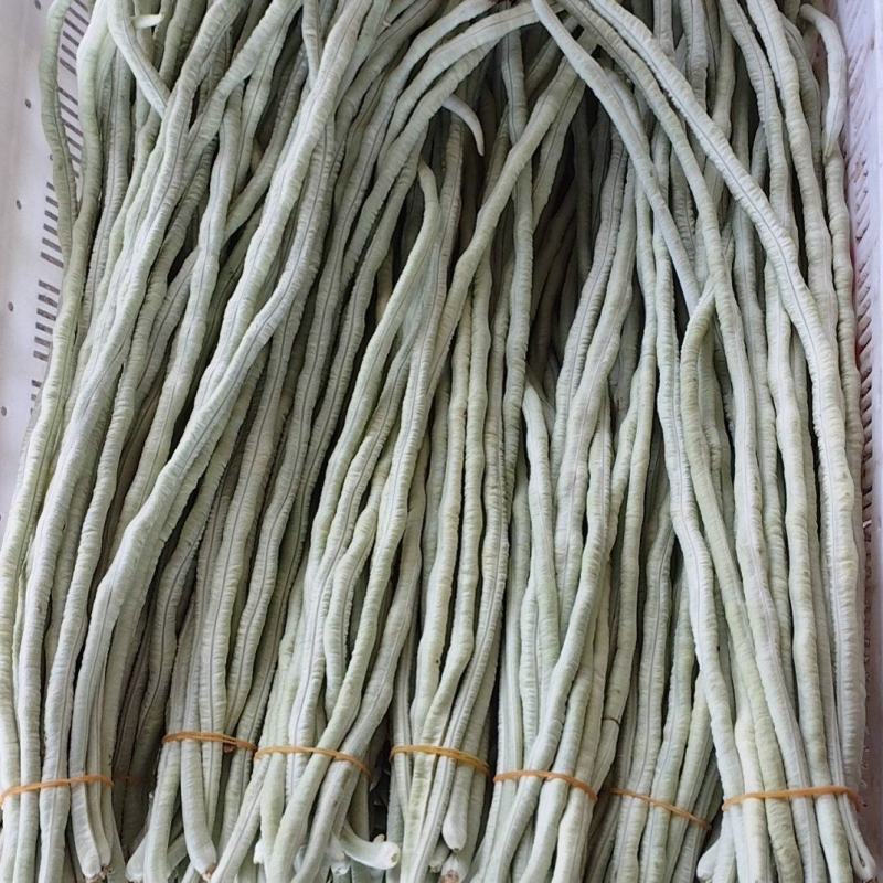 白豆角收一字头了