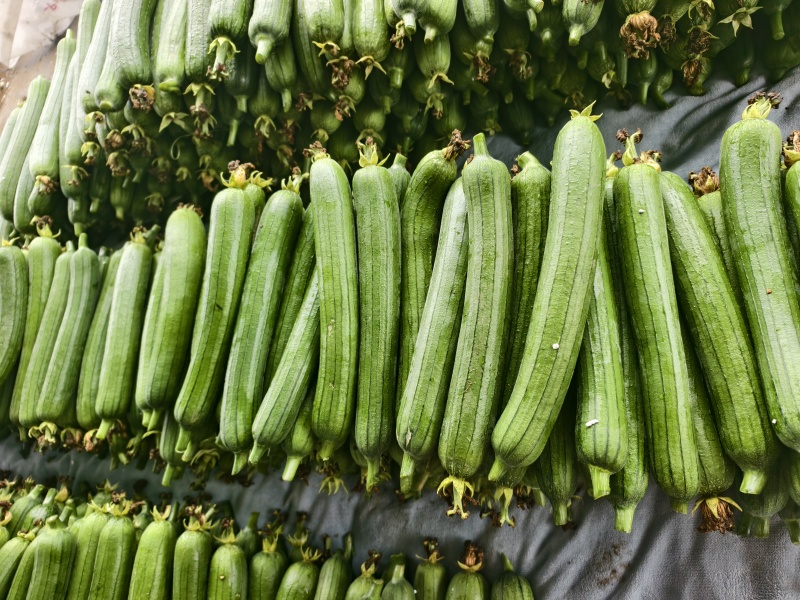 油皮丝瓜