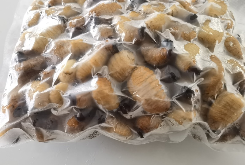 精品冻虫