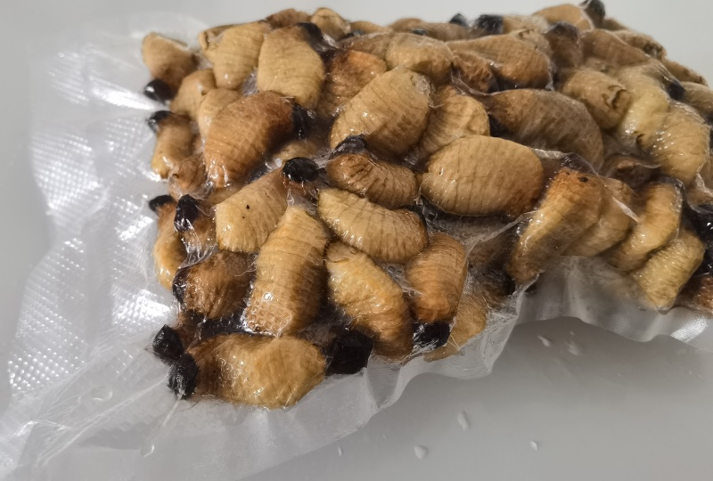 精品冻虫